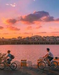 彩票宝足球比分直播-彩票宝足球比分直播，球迷的实时观赛新体验